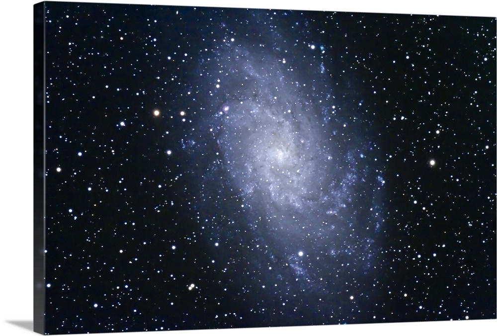The Triangulum Galaxy (NGC 598) in the Local Group of galaxies.