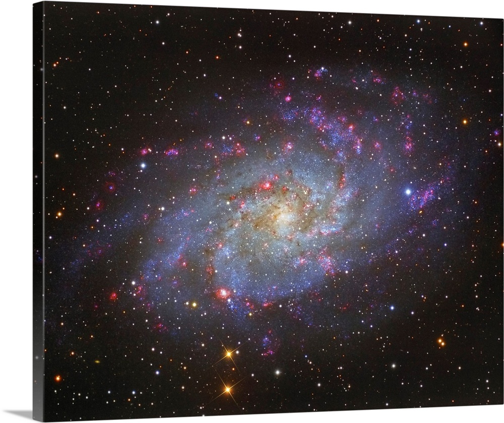 The Triangulum Galaxy.