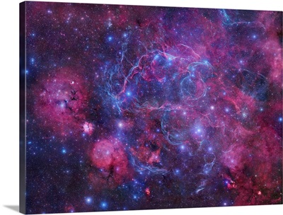 The Vela Supernova Remnan