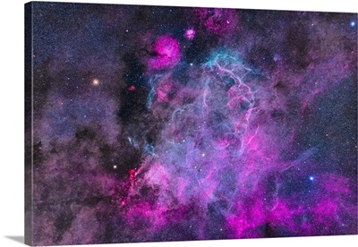 The Vela Supernova Remnant