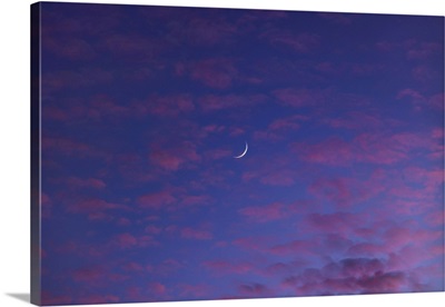 The Waxing Crescent Moon, Amid Pink Sunset Clouds In A Twilight Sky