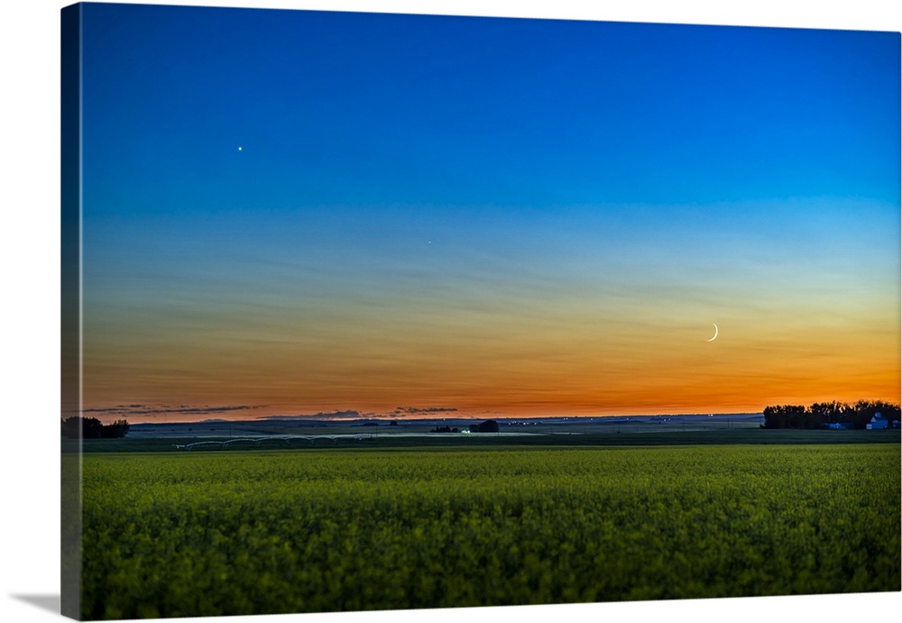 The waxing crescent moon below Venus as they set in the over a ripening canola field.