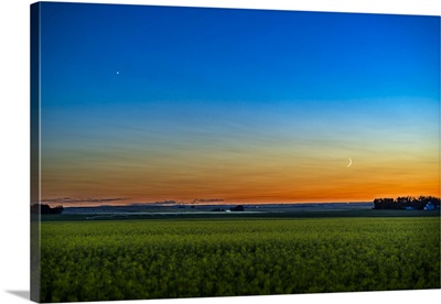 The Waxing Crescent Moon Below Venus As They Set In The Over A Ripening Canola Field