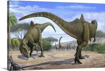 The wedding ceremony between two Concatenator corcovatus dinosaurs