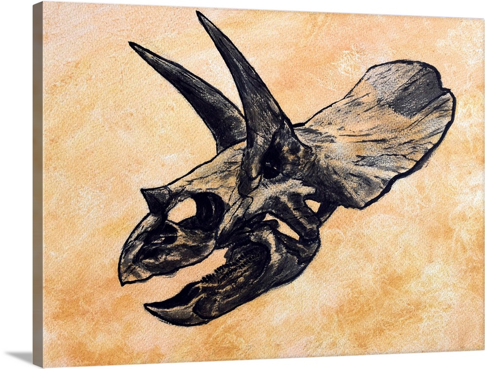Triceratops dinosaur skull on textured background.