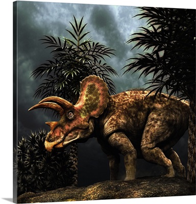 Triceratops was a herbivorous dinosaur from the Cretaceous period
