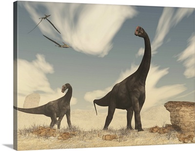 Two Brontomerus dinosaurs walking in the desert.