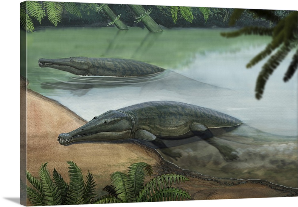Two prehistoric Platyoposaurus stuckenbergi swim ashore.