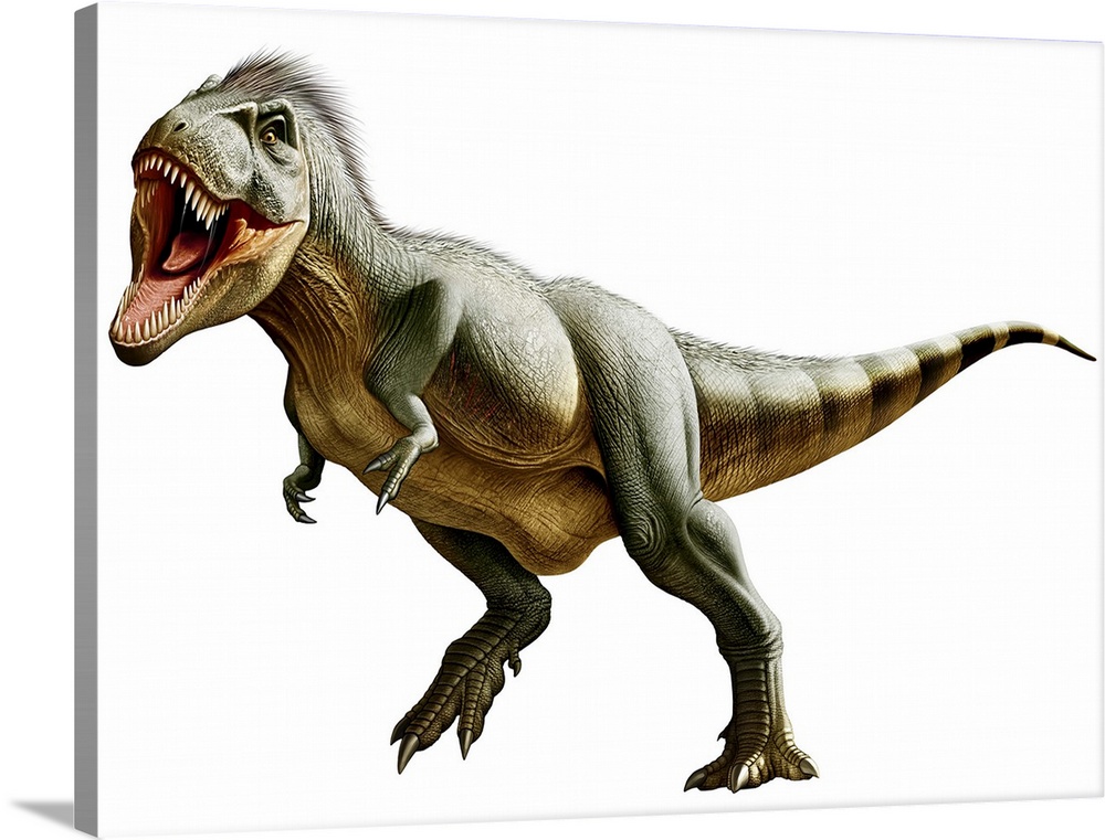Tyrannosaurus Rex, a genus of coelurosaurian theropod dinosaur of the Upper Cretaceous period.