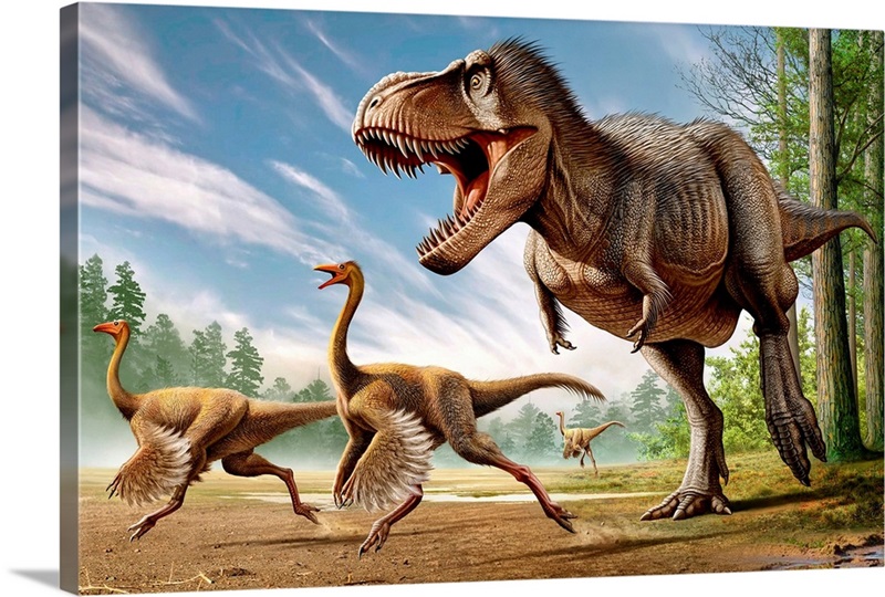 Tarbosaurus Dinosaur Attacking Illustration Dinosaur Poster For