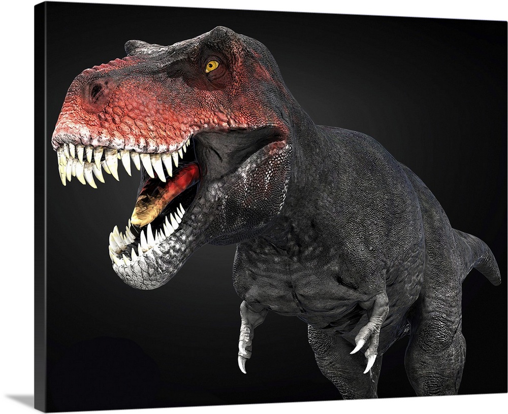 Tyrannosaurus rex dinosaur, close-up.