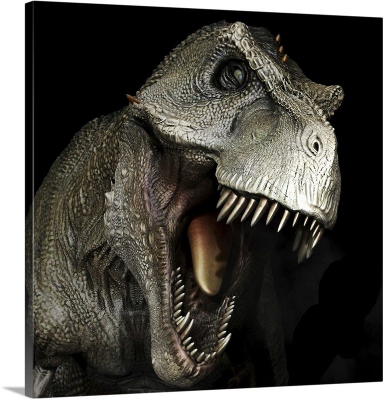 Tyrannosaurus Rex Dinosaur Head Front View Wall Art Canvas Prints Framed Prints Wall Peels 0718