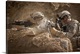 image thumbnail of U.S. Army Rangers in Afghanistan combat scene.