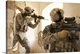 image thumbnail of U.S. Army Rangers in Afghanistan combat scene.