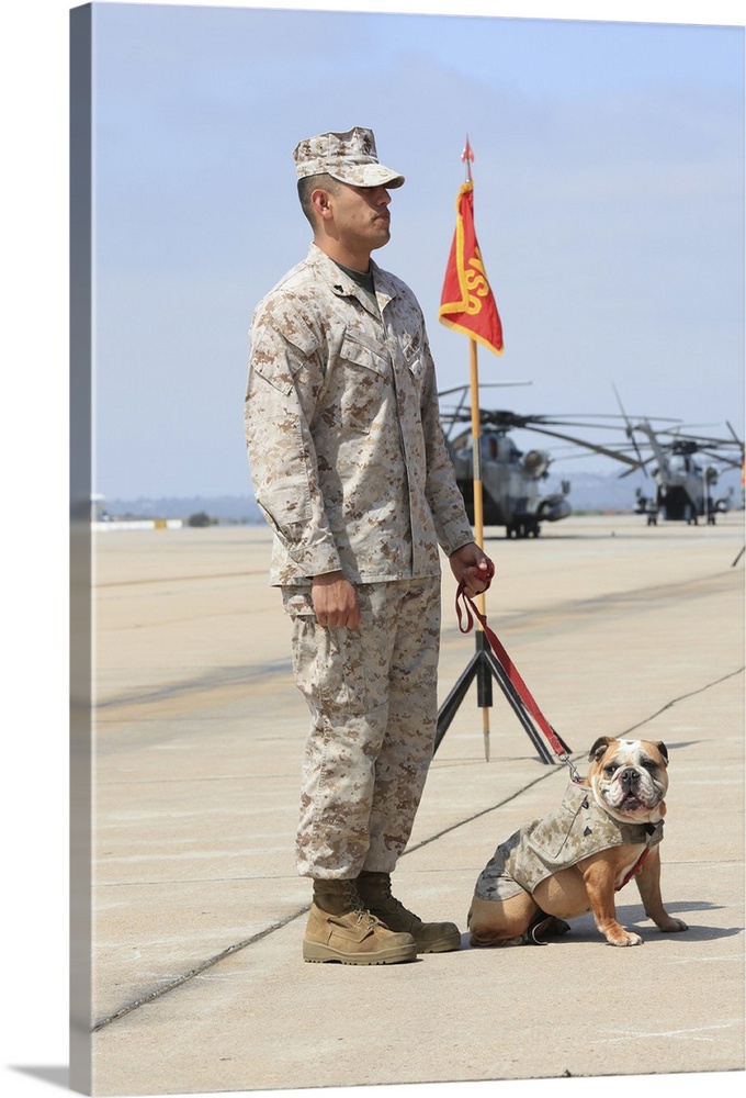 August 3, 2012 - U.S. Marine and the official mascot for Marine Corps Air Station (MCAS) Miramar, during a Change of Comma...
