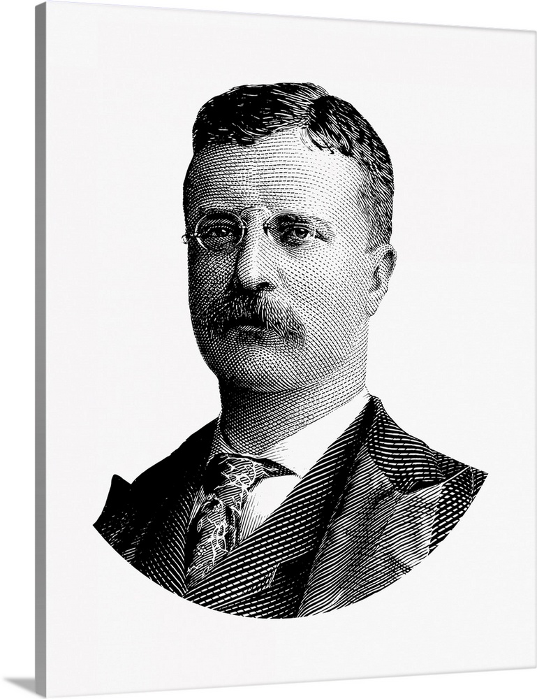 United States political history design of President Theodore Roosevelt.