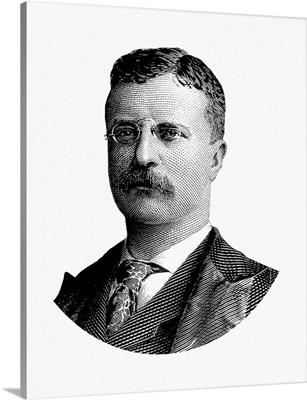 United States Political History Design Of President Theodore Roosevelt