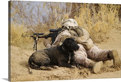 US Marine and a military working dog provide security in Afghanistan