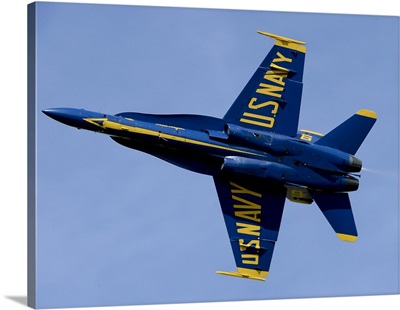 US Navy Flight Demonstration Squadron, The Blue Angels