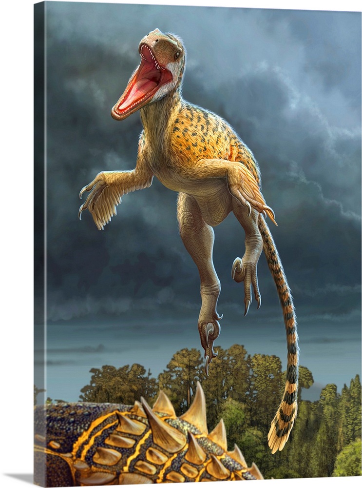 Utahraptor jumps on the back of a Gastonia armored dinosaur.