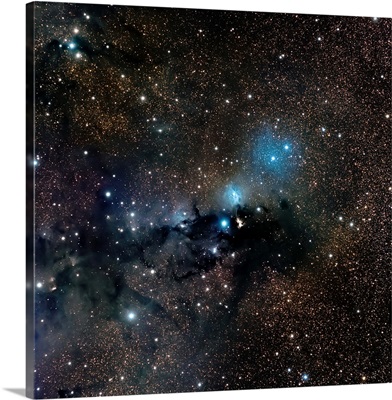 VdB 123 reflection nebula in the constellation Serpens