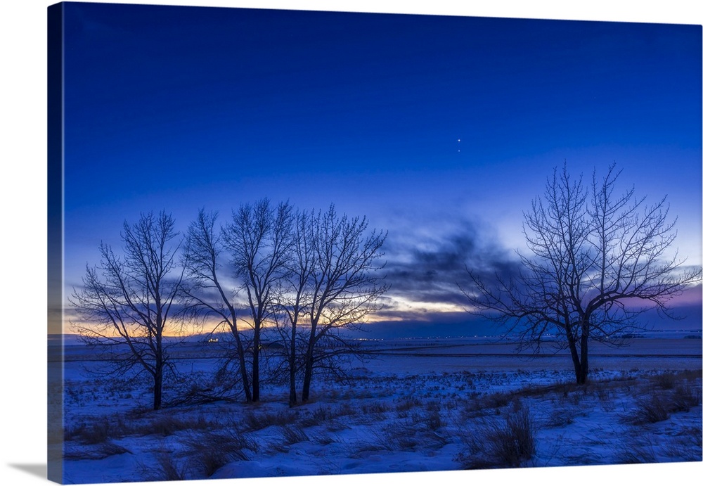 Venus (at top) and Jupiter in a close conjunction, framed between some lone trees, Alberta, Canada