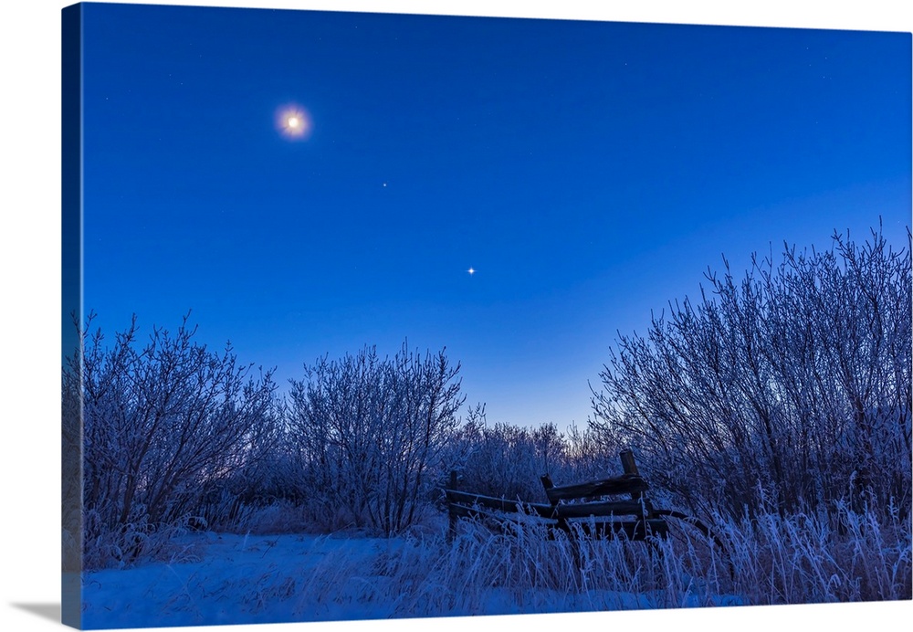 Venus, Mars and the moon over a frosty fence.