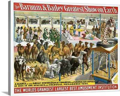 Vintage Barnum & Bailey Circus Poster Of A Group Of People And Animals, 1895