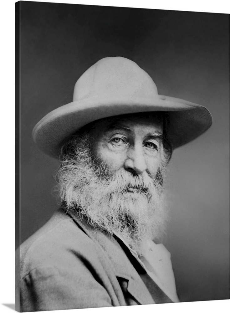 Vintage print American poet of Walt Whitman.