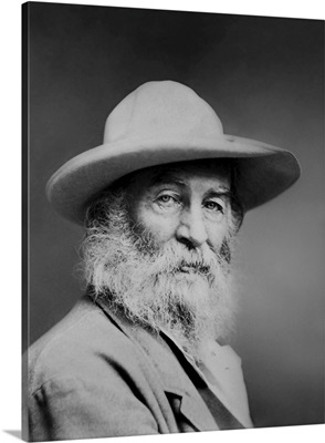Vintage Print American Poet Of Walt Whitman