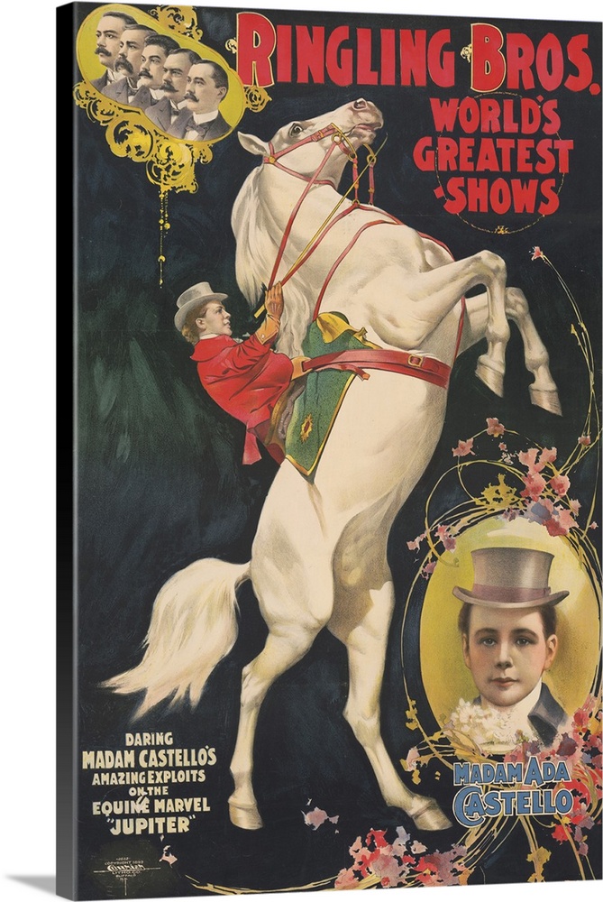 Vintage Ringling Brothers Circus Poster Of Madam Ada Castello On A Rearing Horse, 1899