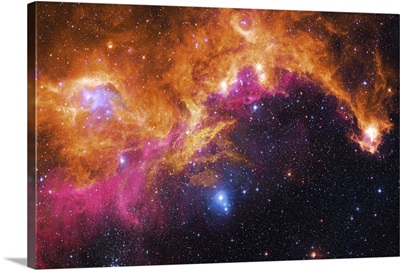 Visible light-infrared composite of IC 2177, the Seagull Nebula