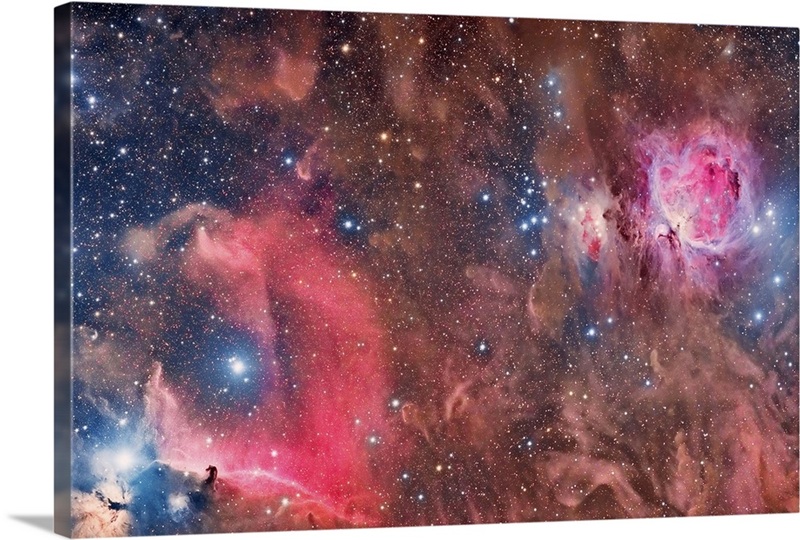 Widefield view of Orion Nebula and Horsehead Nebula | Great Big Canvas