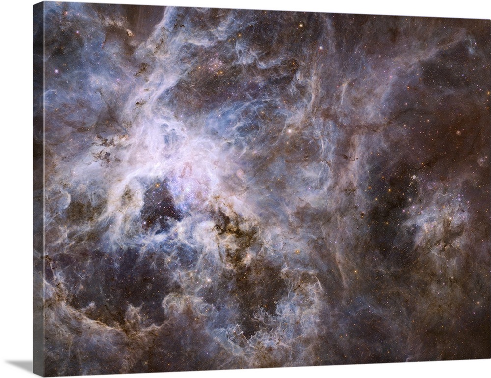 Widefield view of 30 Doradus, spanning a width of 600 light-years, shows a star factory of more the 800,000 stars being bo...