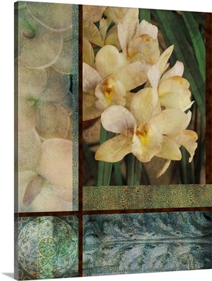 Antique Orchids I