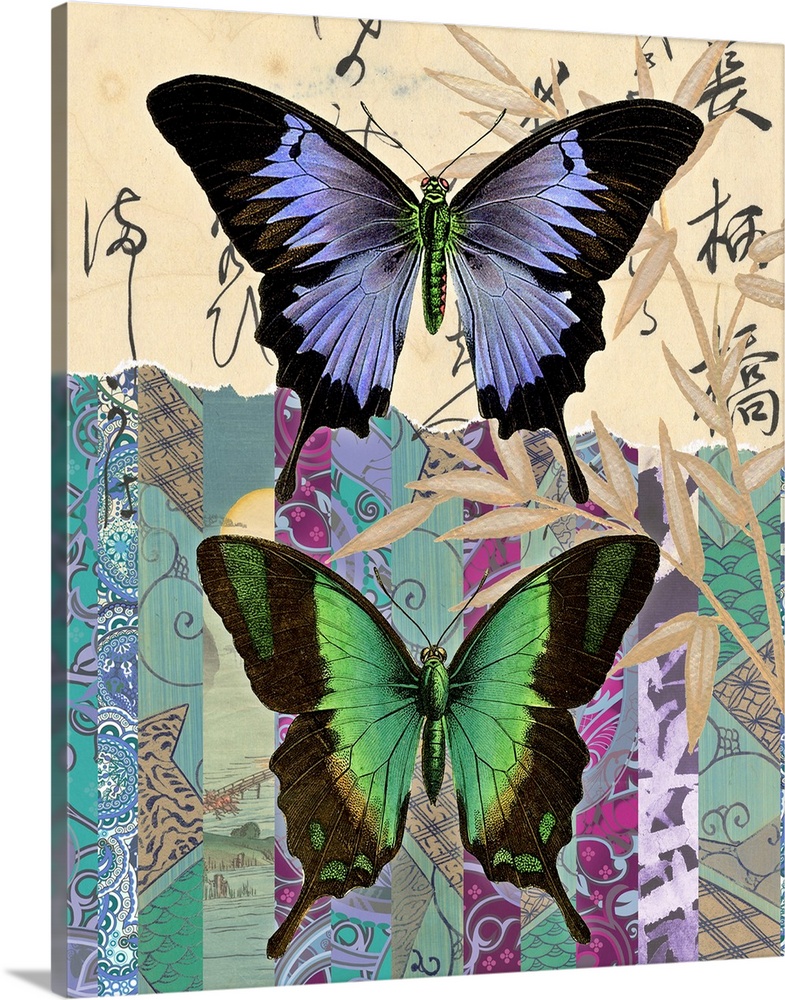 Asian Butterflies I