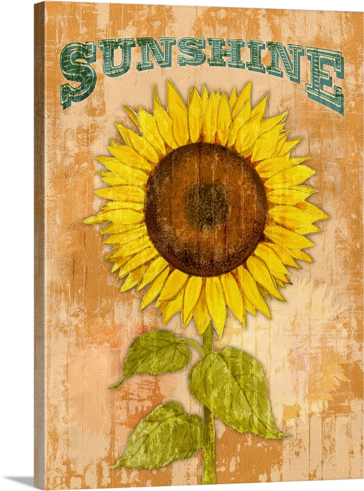Country Sunflowers II
