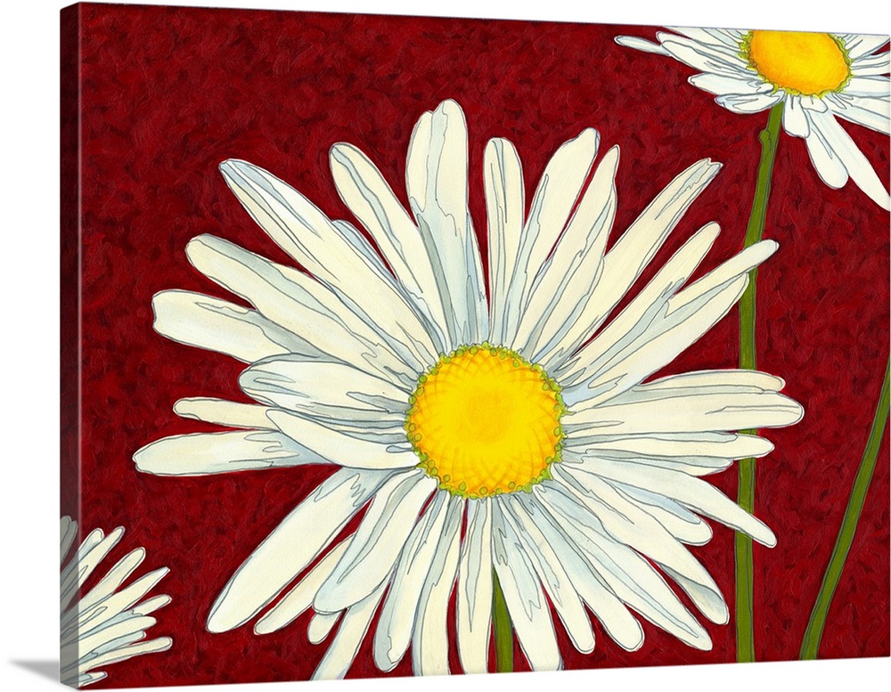 White daisies on a deep red background.