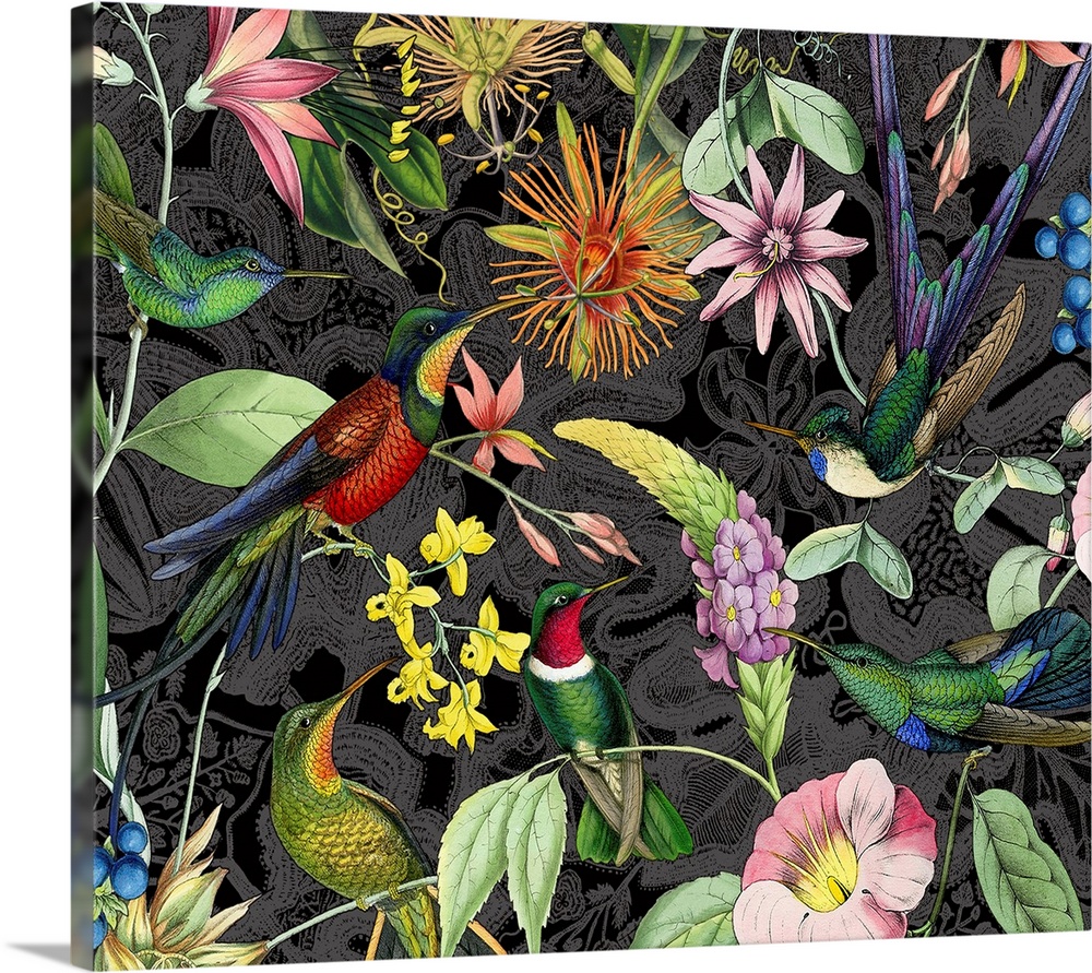 Collection of vintage flowers and hummingbird illustrations.