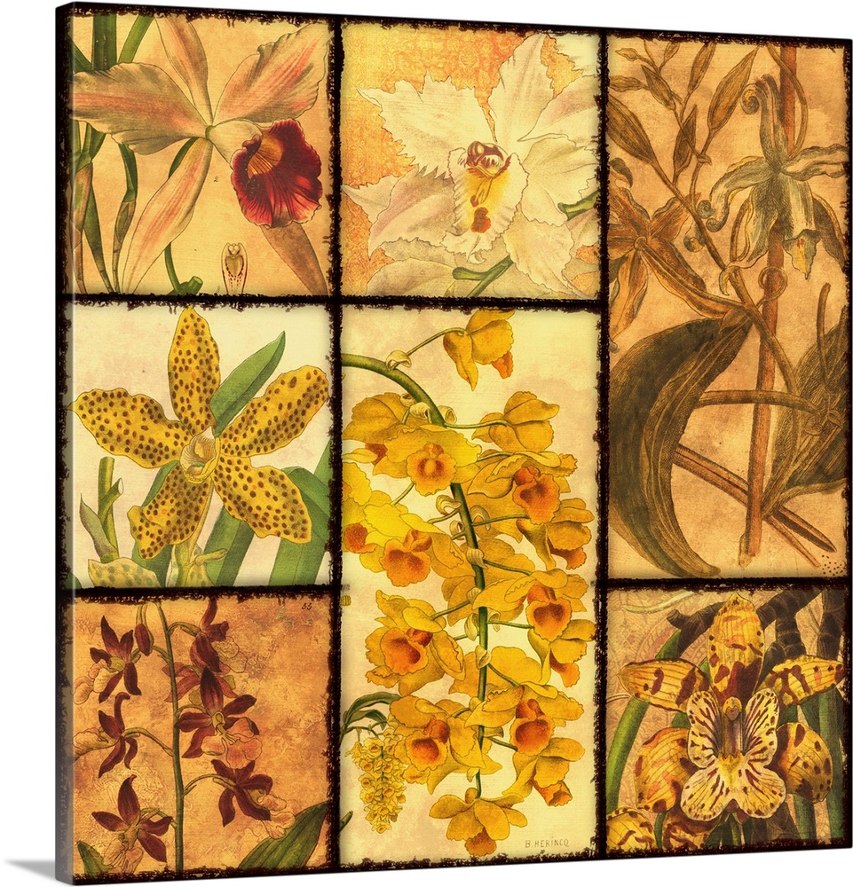 Orchid Patchwork I