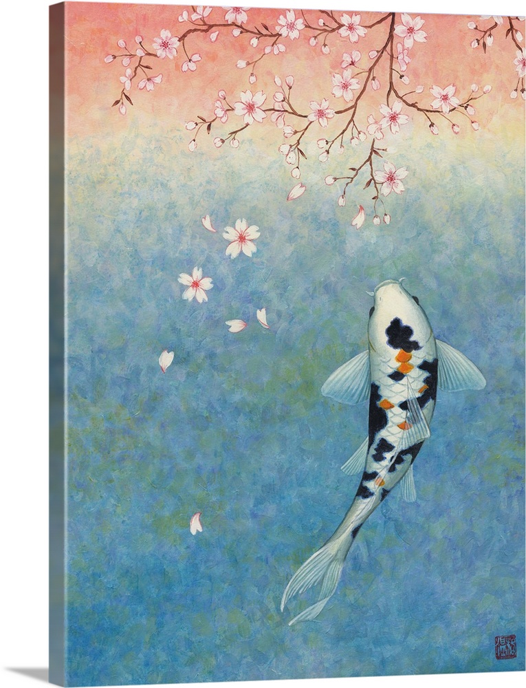 A spotted koi fish swimming under a branch of cherry blossoms.