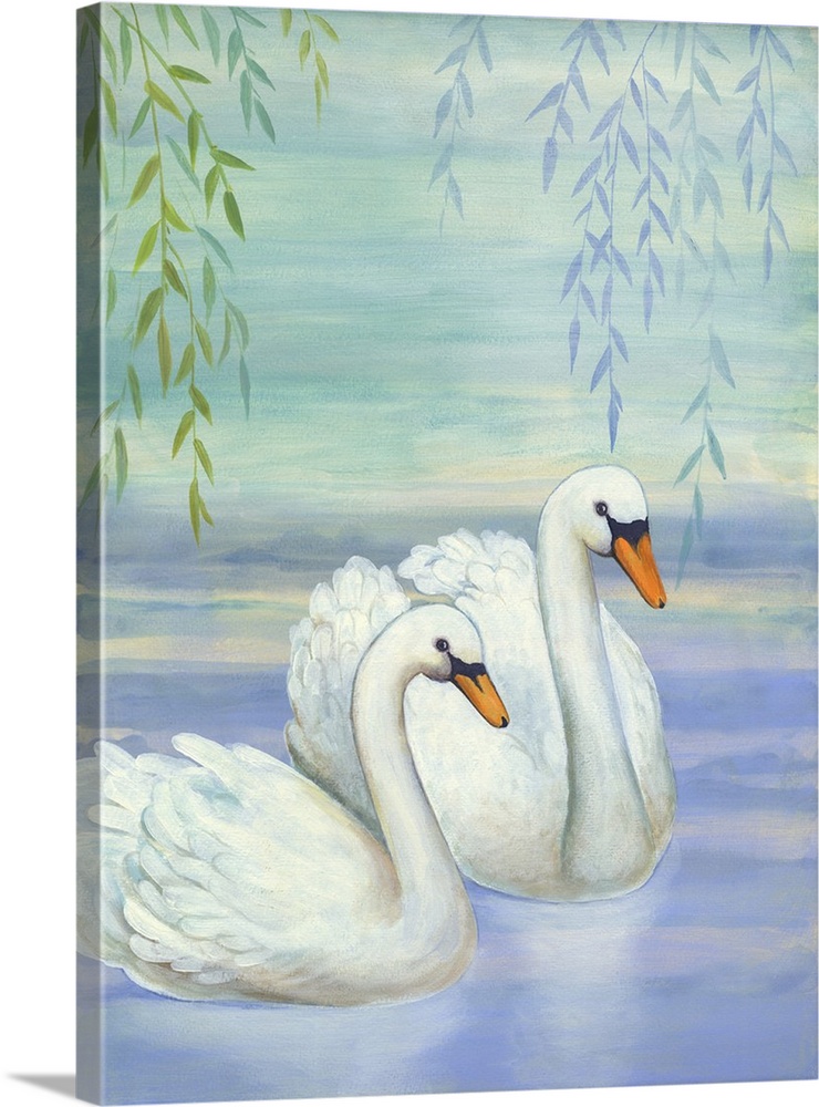 Two white swans swimming under a willow tree.