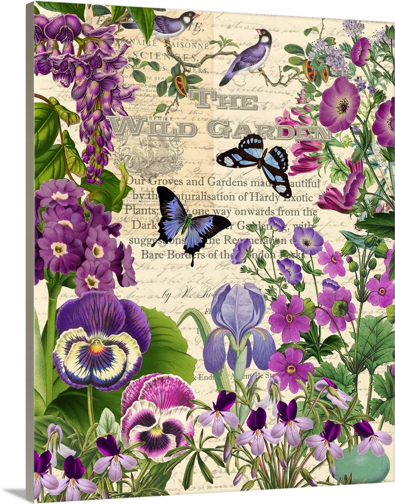 Vintage illustrations of pansies and butterflies arranged in a garden scene.