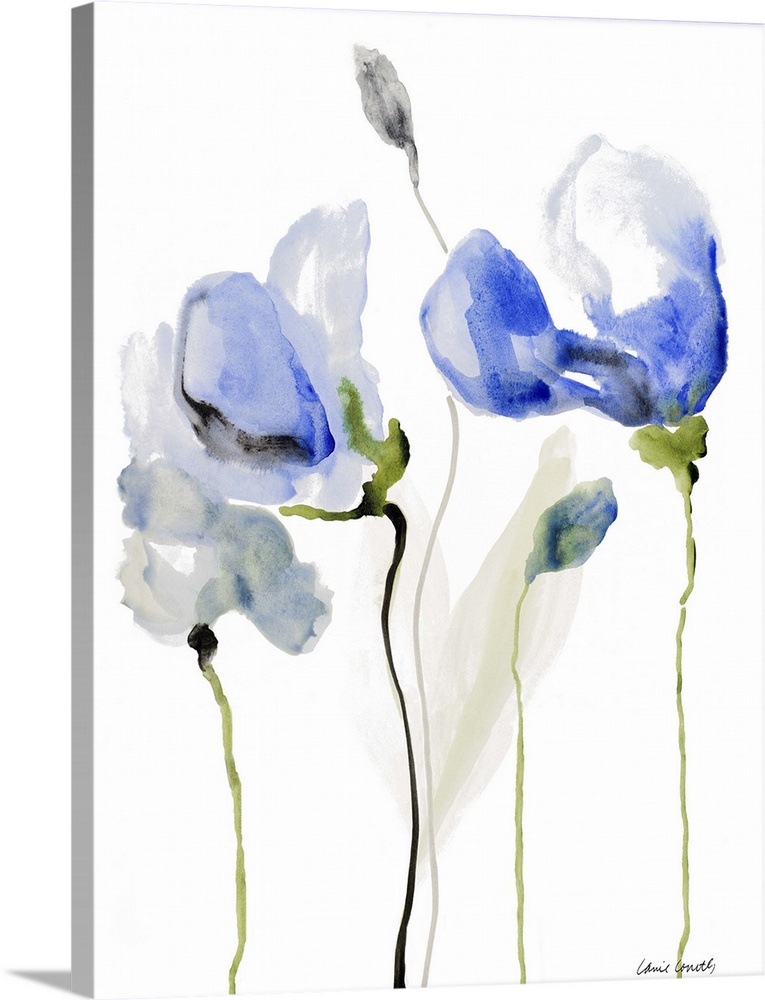 Watercolor painting of blue poppies against a white background.