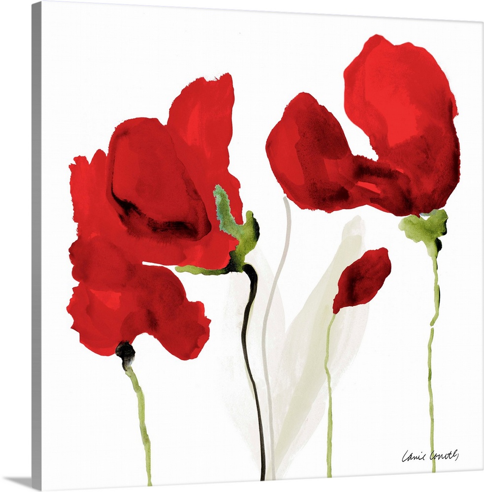 Square watercolor painting of red poppy flowers on a white background.