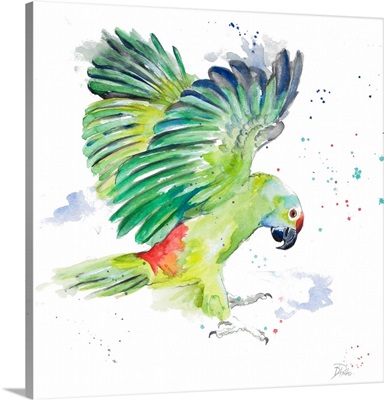 Amazon Parrot I