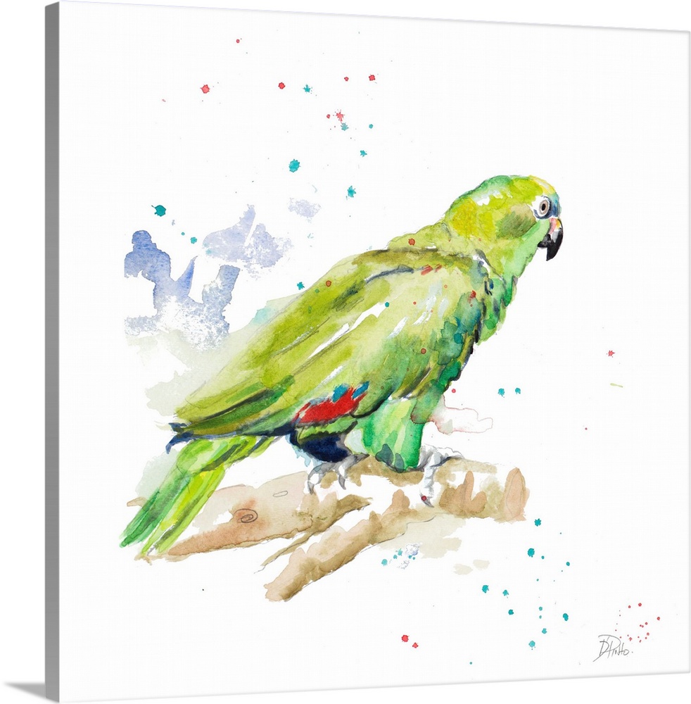 Contemporary artwork featuring a tropical watercolor parrot with paint splatters over a white background.