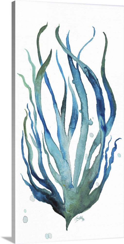 A watercolor painting of aqua colored seaweed.