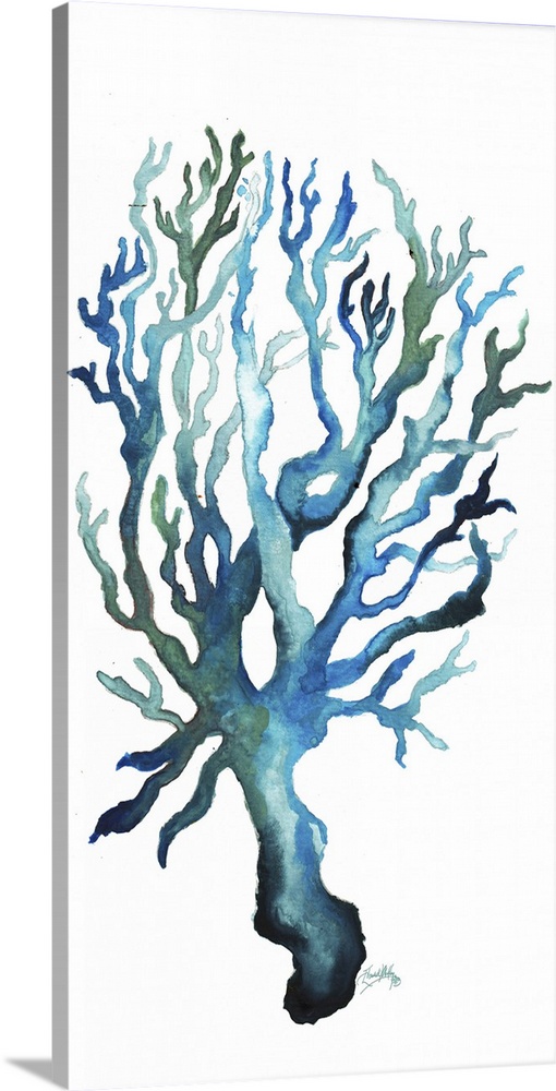 A watercolor painting of aqua colored coral.