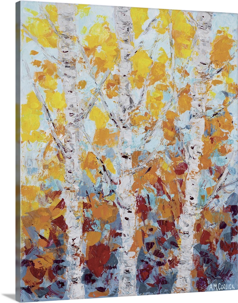Three white aspen trees with fall leaves.
